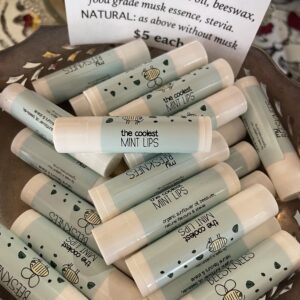 Lip Balm - Mint Lips